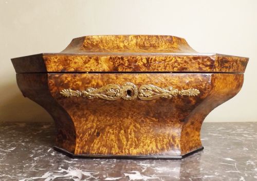 Large 19th C Burr Mulberry Box
