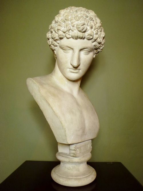 Plaster Bust of Greek God