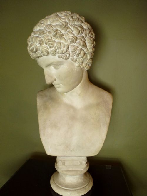 fig 1. PLASTER BUST OF GREEK GOD