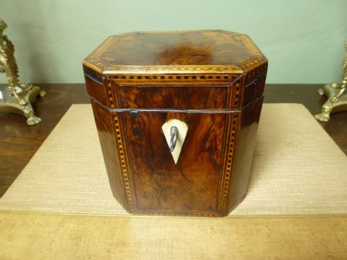 George III Burr Yew Tea Caddy