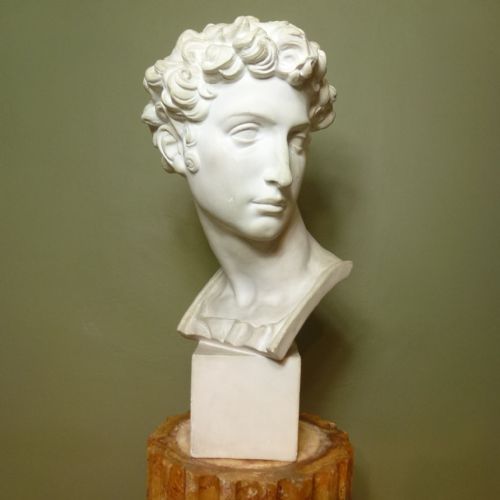 Plaster Bust of David