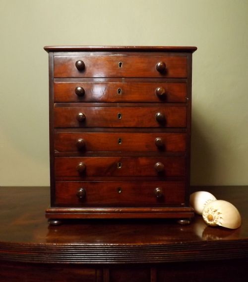 19th C Mahogany Collectors Cabinet