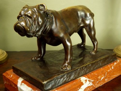 Large 19th C Bronze of Bulldog