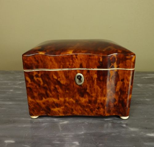 19th C Tortoiseshell Tea Caddy