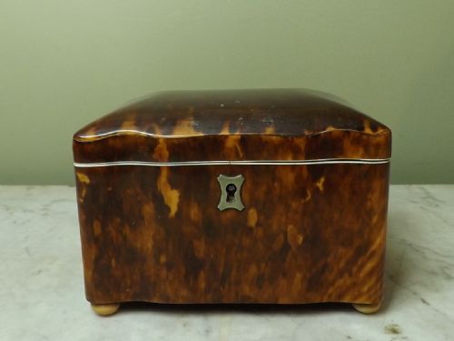 Mid 19th C Tortoiseshell Tea Caddy