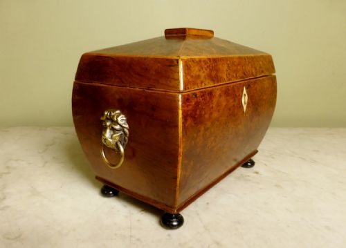 Early 19th C Burr Yew Tea Caddy