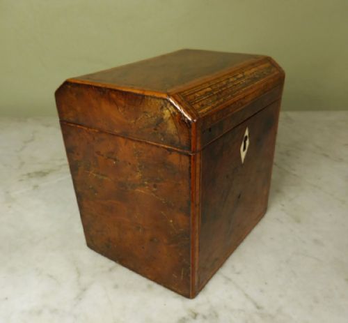 George III Burr Yew Wood Tea Caddy