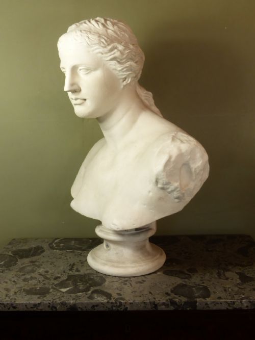 Large Plaster Bust of the Venus De Milo