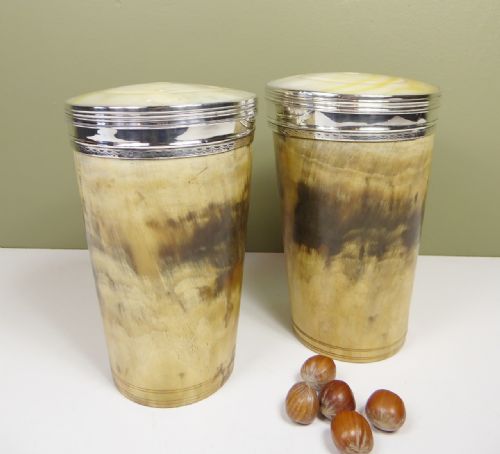 Large Pair of Silver & Horn Beakers