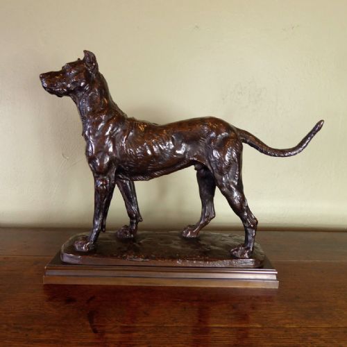 19th C Bronze of a Great Dane Dog