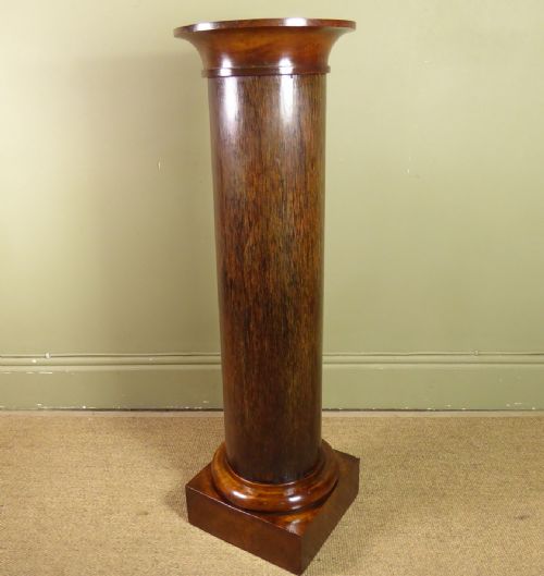 19th C Palm & Walnut Pedestal
