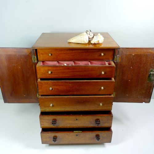 EARLY 19TH C MINIATURE MAHOGANY CABINET - ADDITIONAL PHOTO 1
