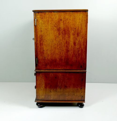 EARLY 19TH C MINIATURE MAHOGANY CABINET - ADDITIONAL PHOTO 4