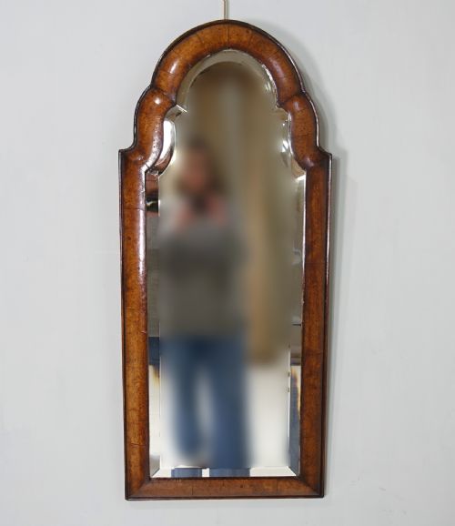 19th C Burr Yew Wood Long Mirror
