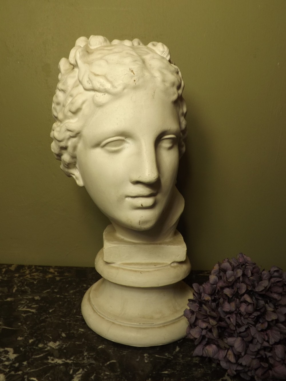 PLASTER BUST OF VENUS