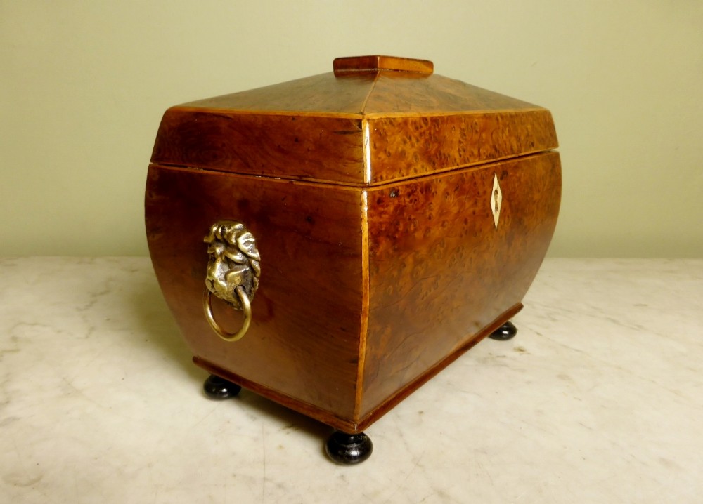 EARLY 19TH C BURR YEW TEA CADDY