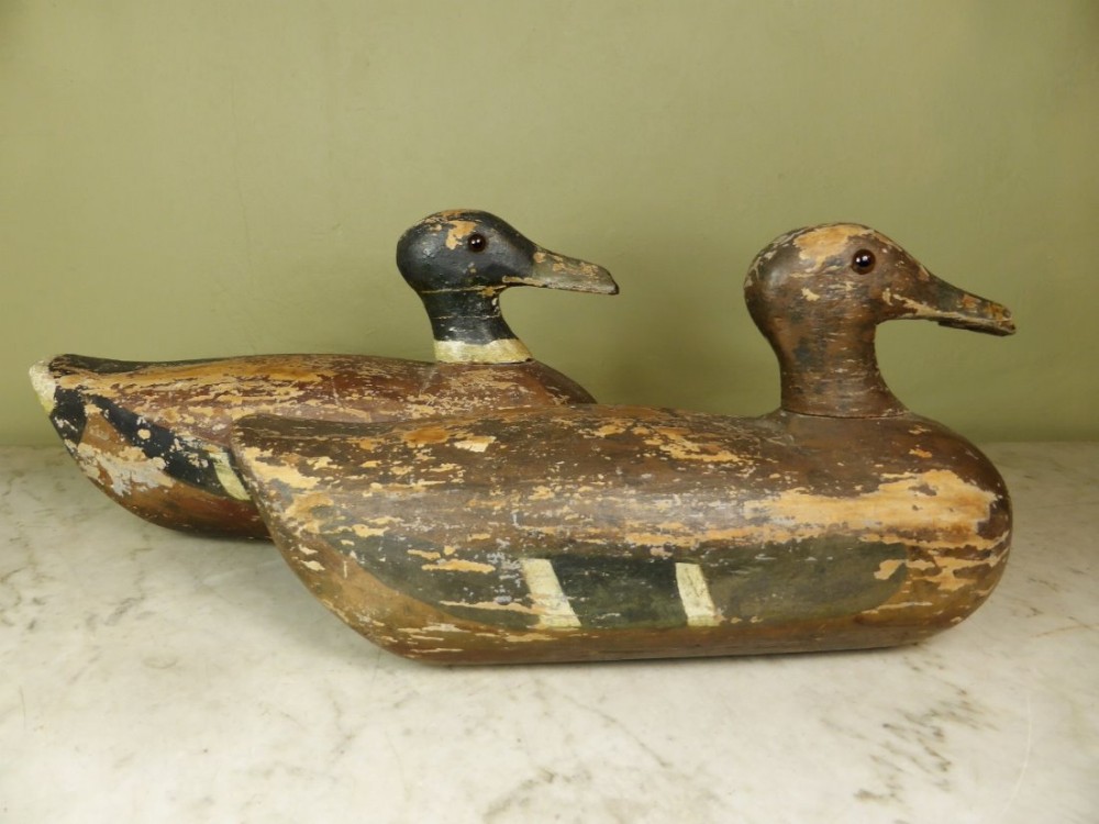 PAIR OF 19TH C DECOY DUCKS