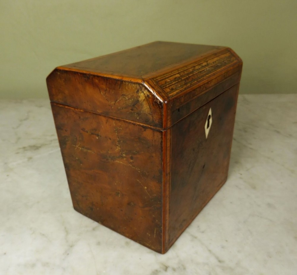 GEORGE III BURR YEW WOOD TEA CADDY