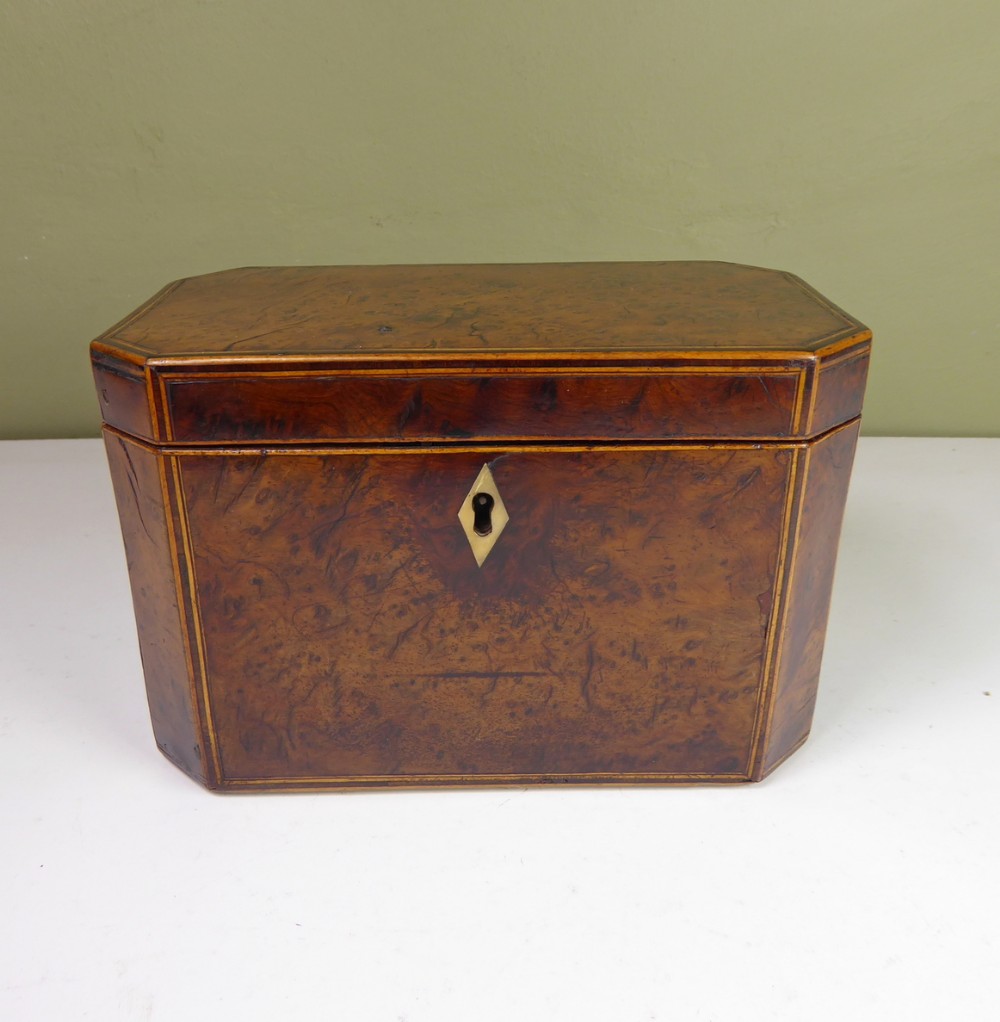 GEORGE III BURR YEW WOOD CADDY