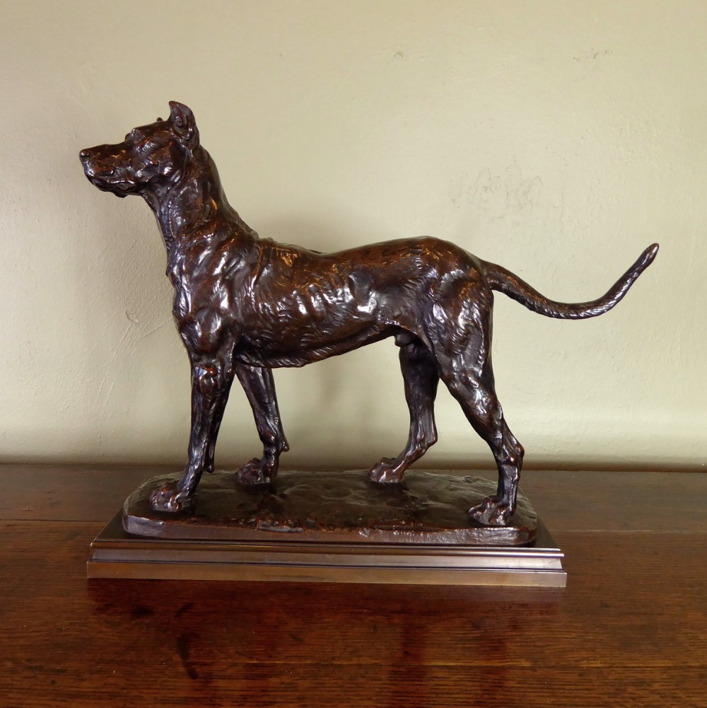 19TH C BRONZE OF A GREAT DANE DOG