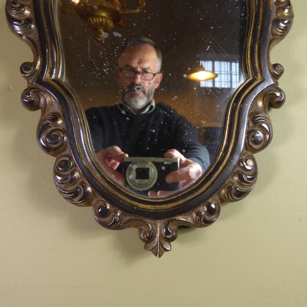 PAIR OF 19TH C BRONZE & GILTED MIRRORS View VII