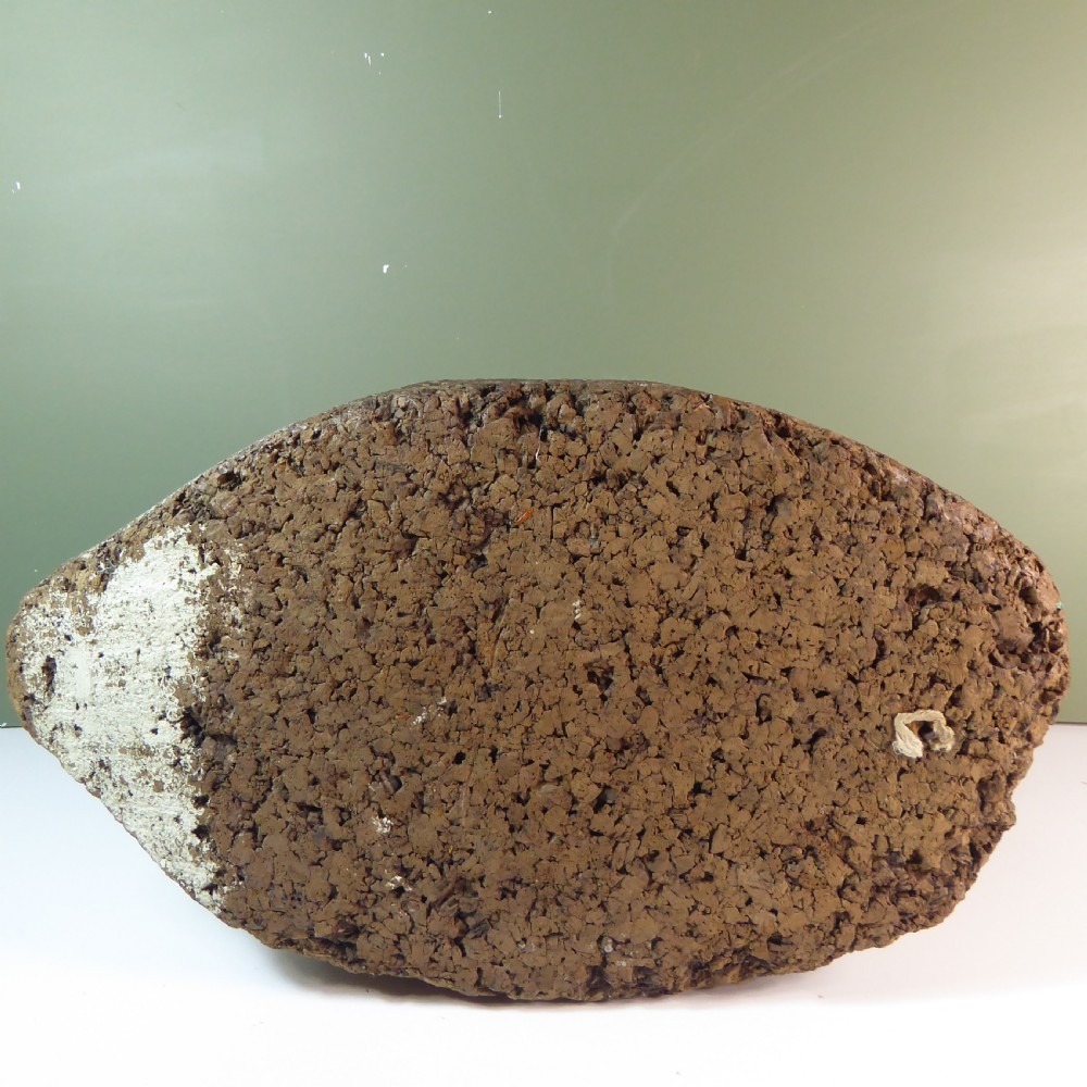 19TH C CORK CANADA GOOSE DECOY View V