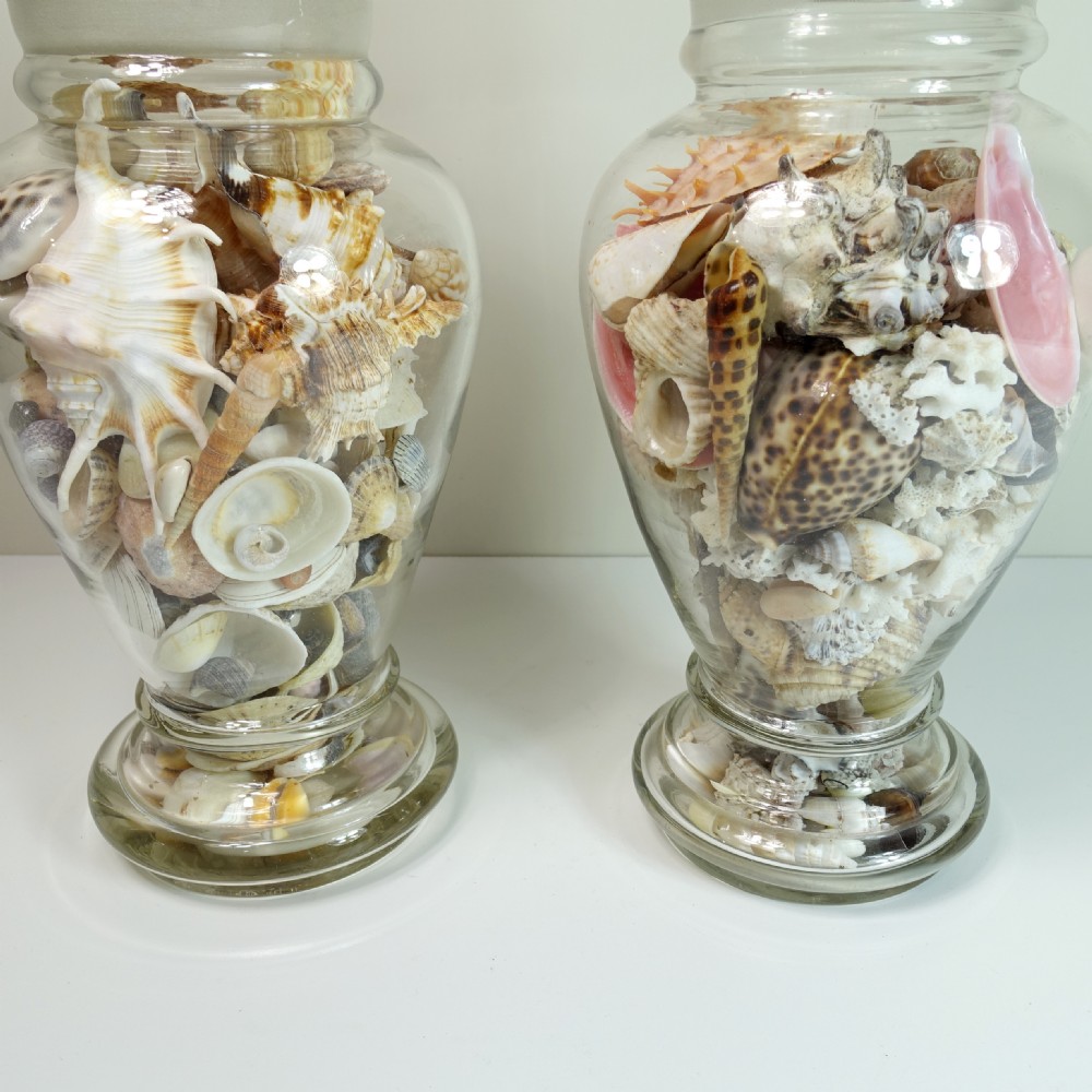 PAIR OF 19TH C GLASS VASES FILLED WITH SHELLS View II