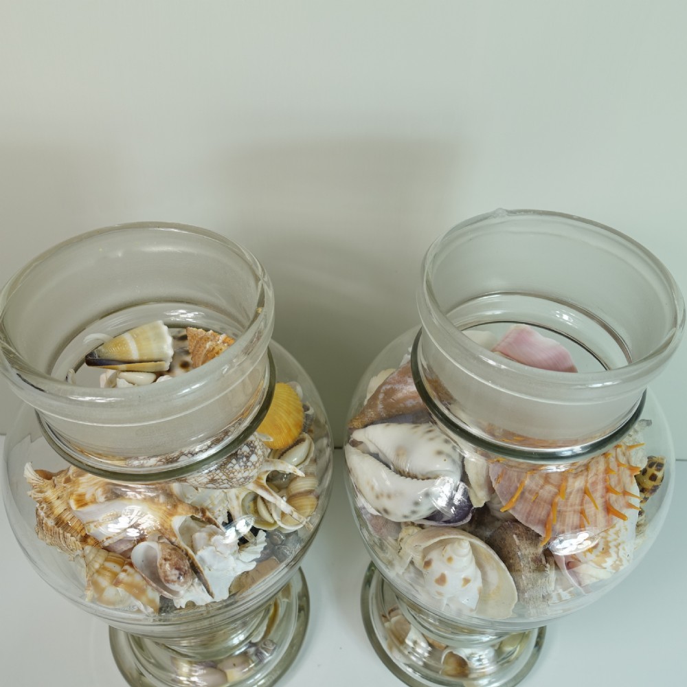 PAIR OF 19TH C GLASS VASES FILLED WITH SHELLS View VI