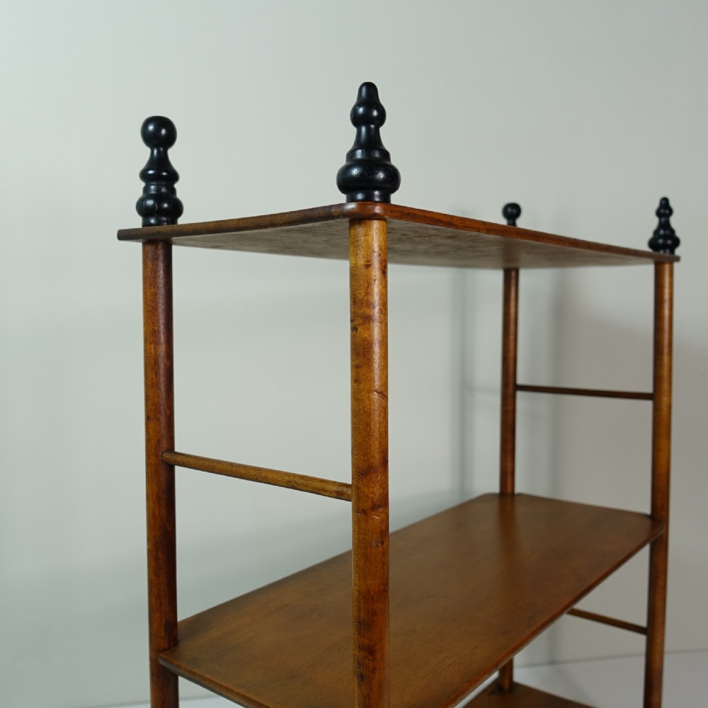 SET OF 19TH C SHELVES View V