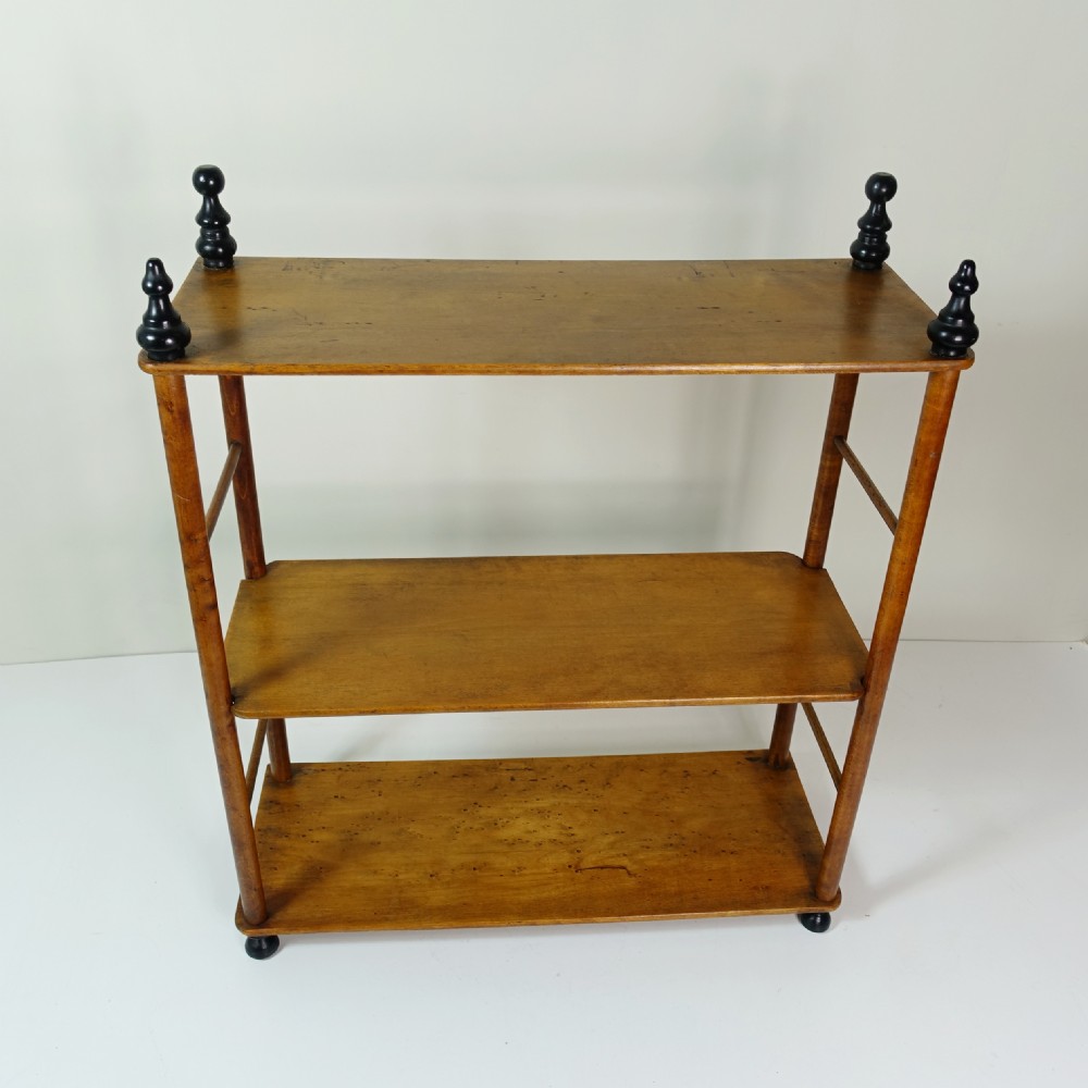 SET OF 19TH C SHELVES View VI