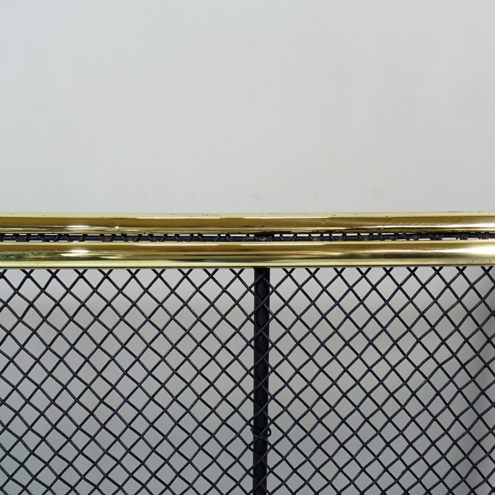 19TH C NURSERY FIRE GUARD View III