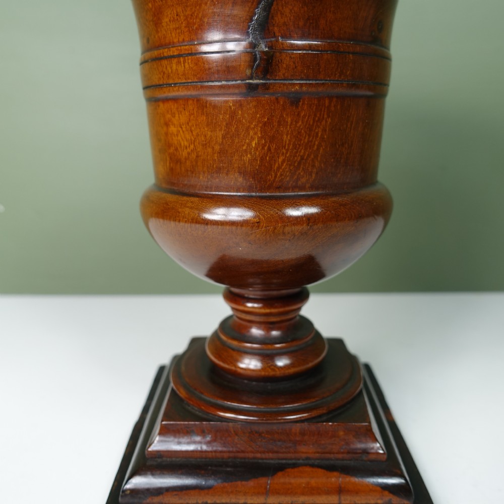 EARLY 19TH C WALNUT VASE View VI