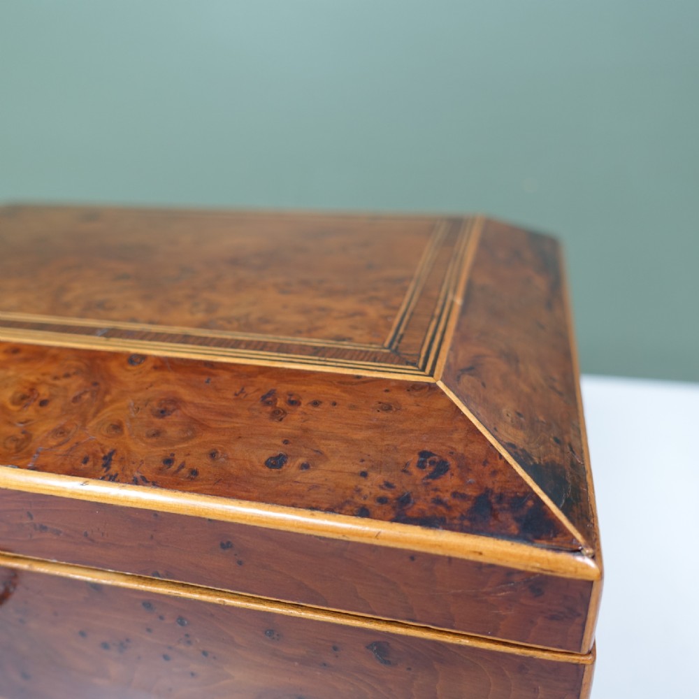 REGENCY BOX View V