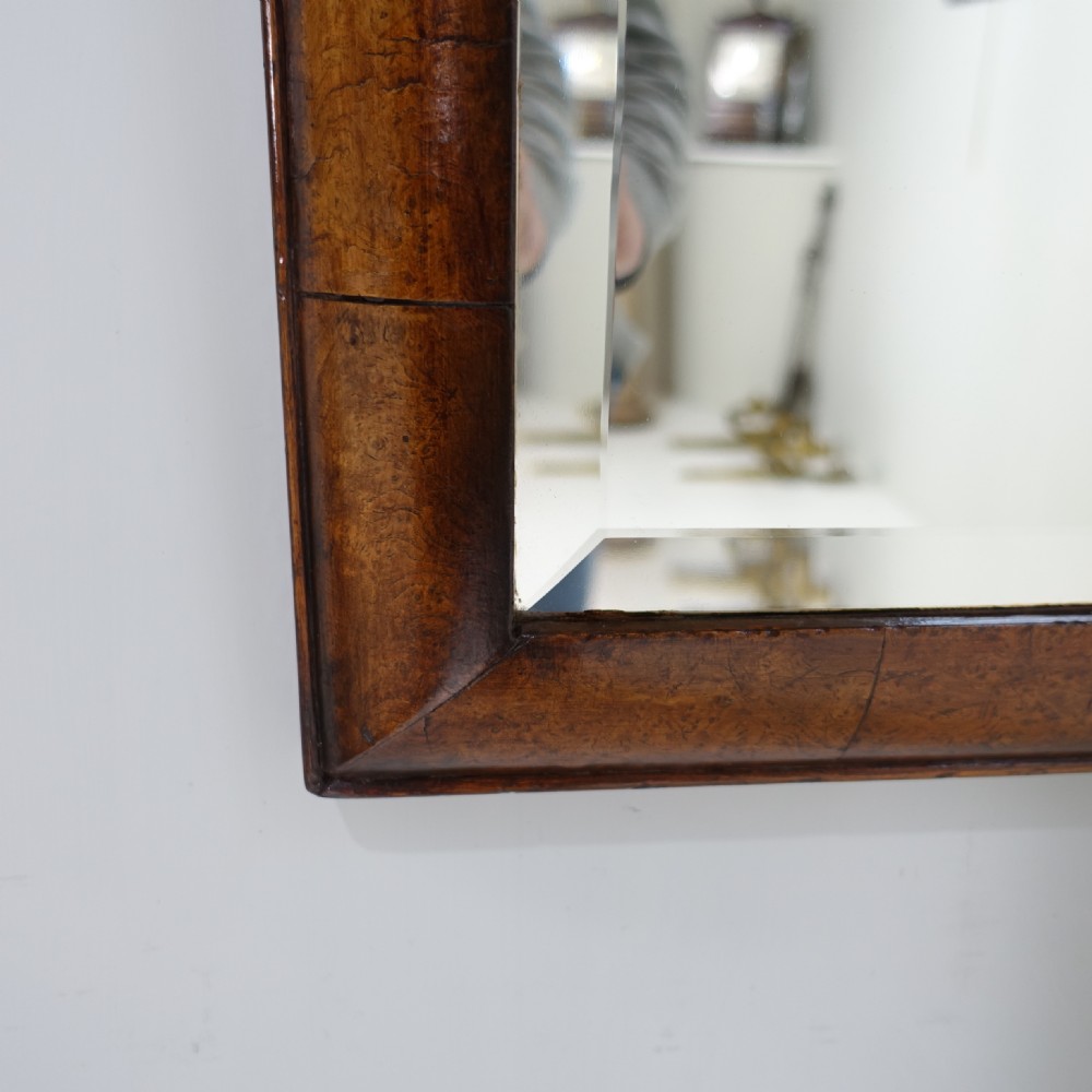 19TH C BURR YEW WOOD LONG MIRROR View III