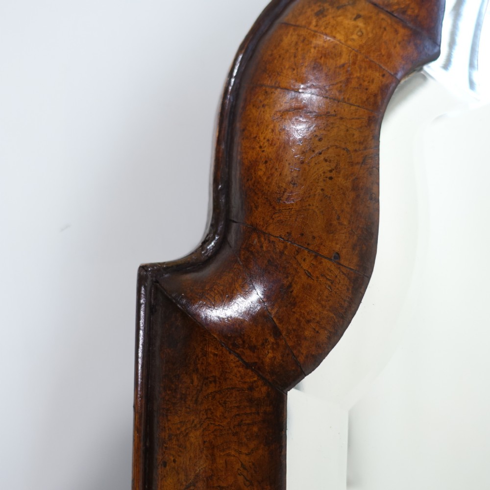 19TH C BURR YEW WOOD LONG MIRROR View VI