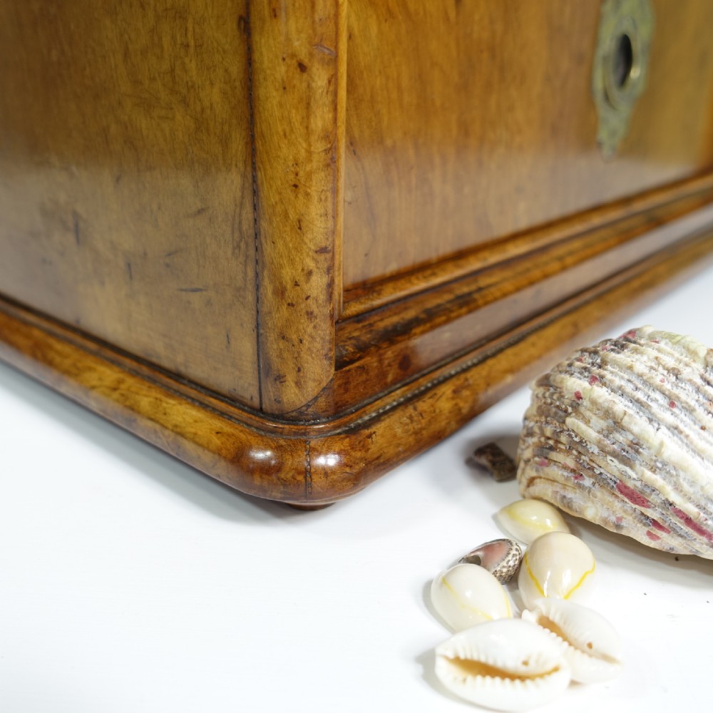 19TH C WALNUT CABINET, HUMIDOR View III