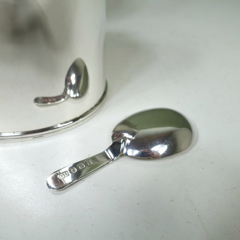 SOLID SILVER TEA CADDY & SPOON View IV