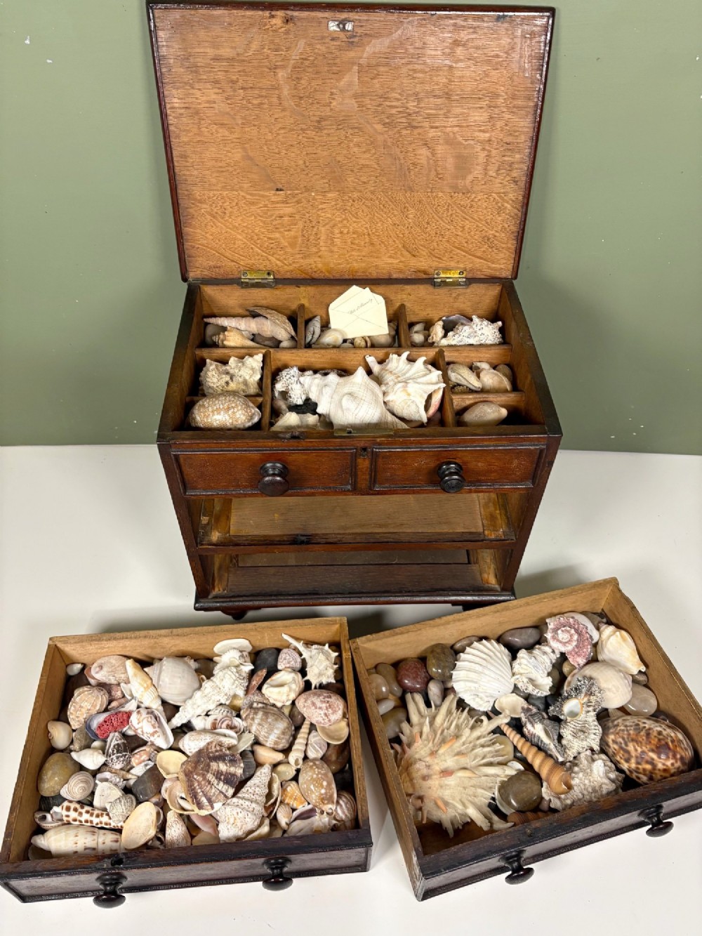 A 19th-century dark oak miniature chest featuring a hinged top lid opening to partitioned compartments filled with sea shells, above three drawers with turned wooden knobs. View IX