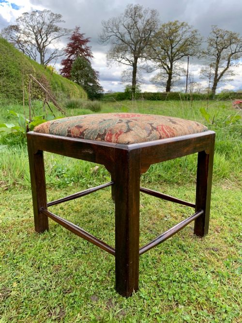 Rare Scottish Laburnum Stool
