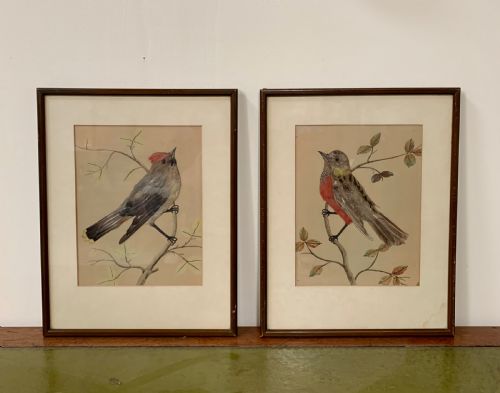 Pair Feather Bird Pictures