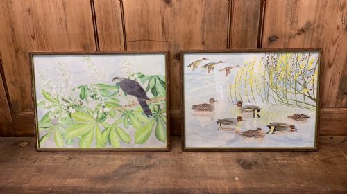 Pair Watercolours