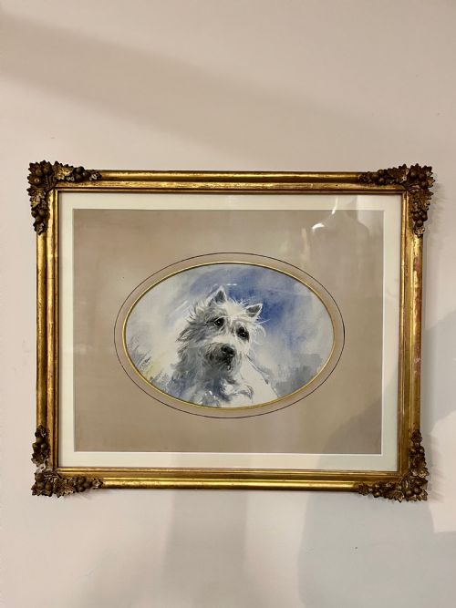 West Highland Terrier Dog Portrait