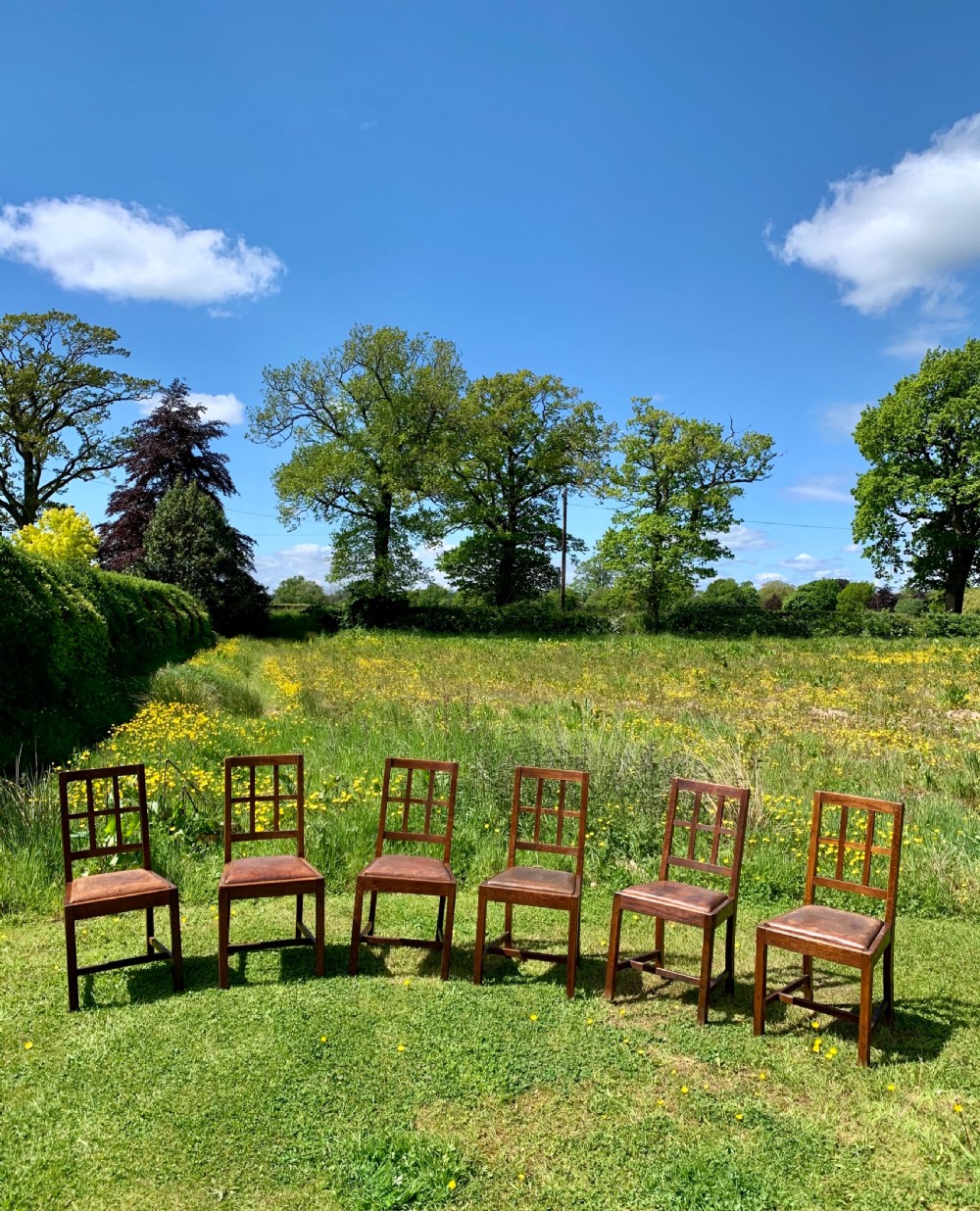 Six Heals style lattice back oak dining chairs  View III