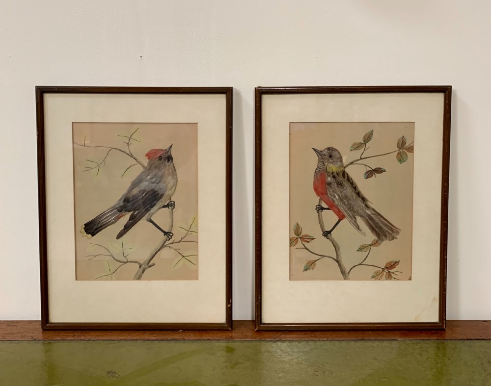 Pair feather bird pictures  View VII