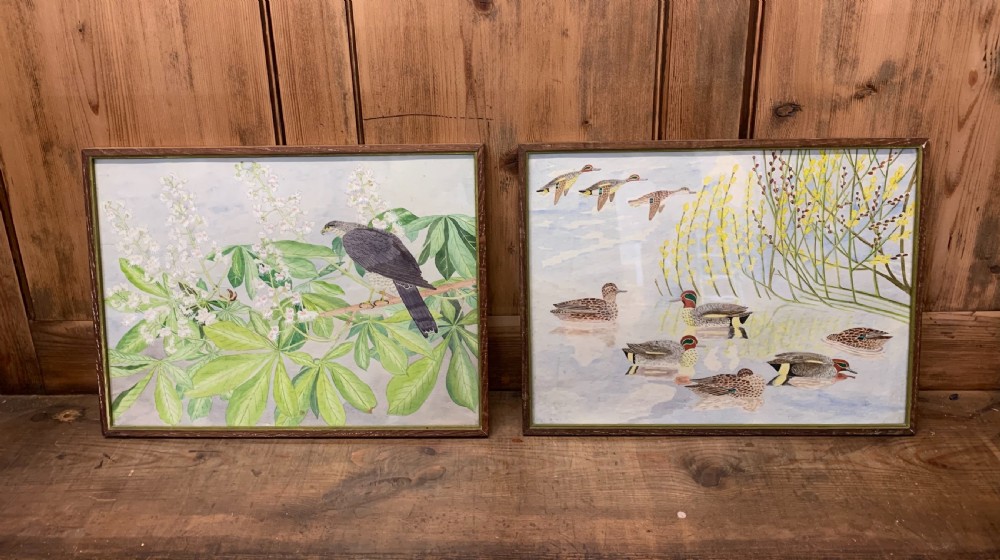 Pair watercolours 