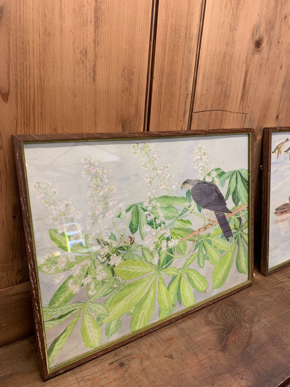 Pair watercolours  View X