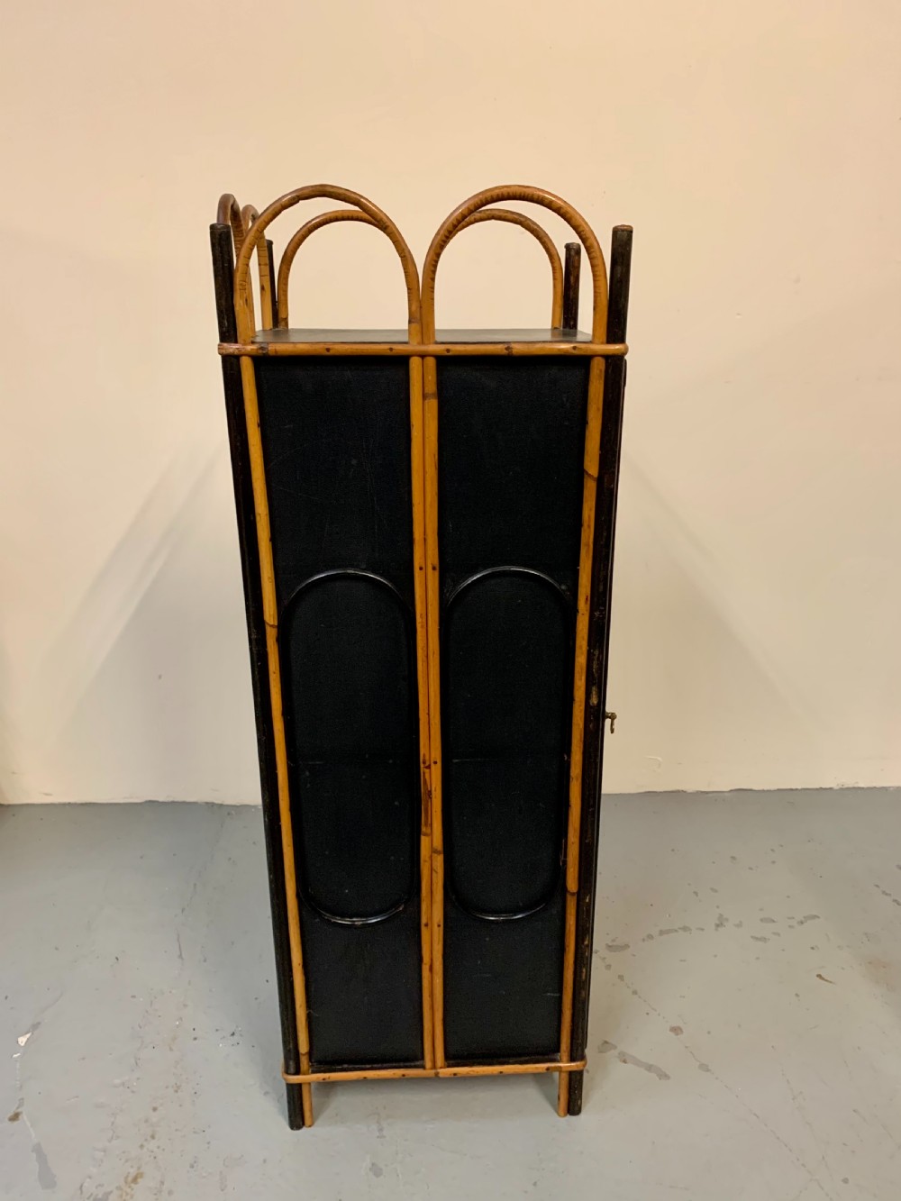 Unusual useful bentwood cane cabinet  View VII