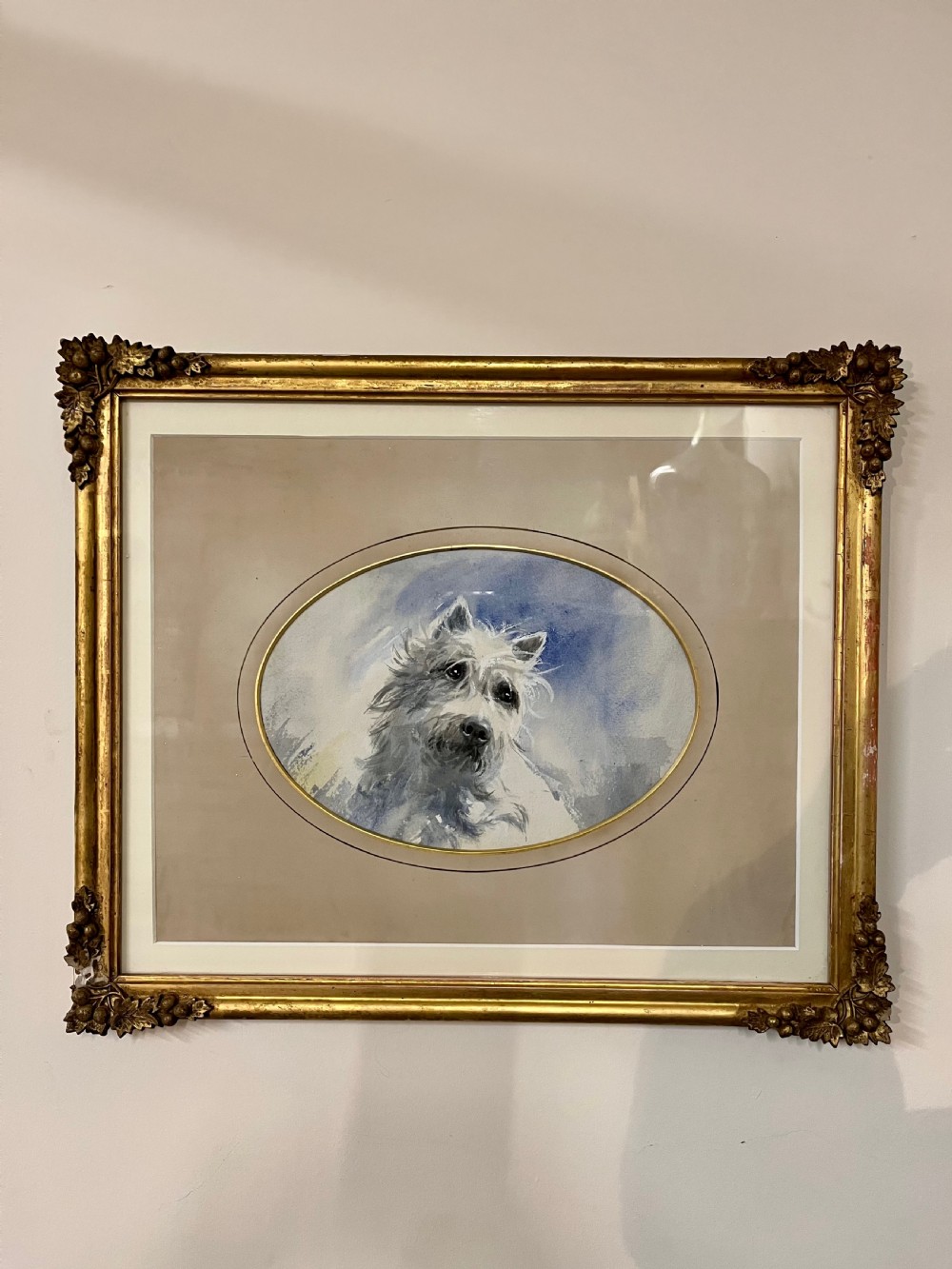 West highland terrier dog portrait 