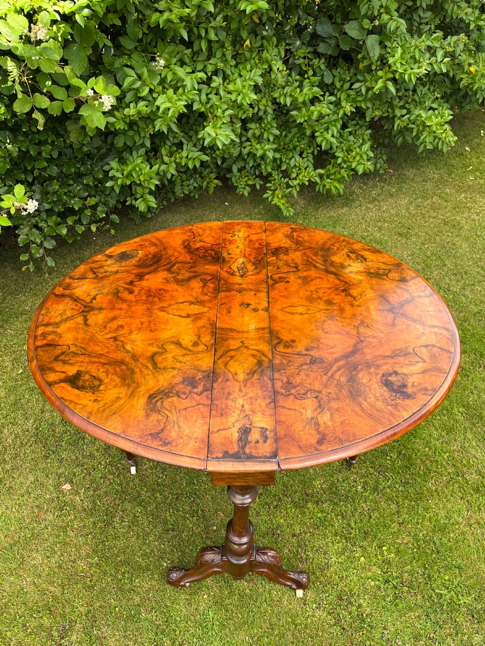 Large walnut sutherland table View V