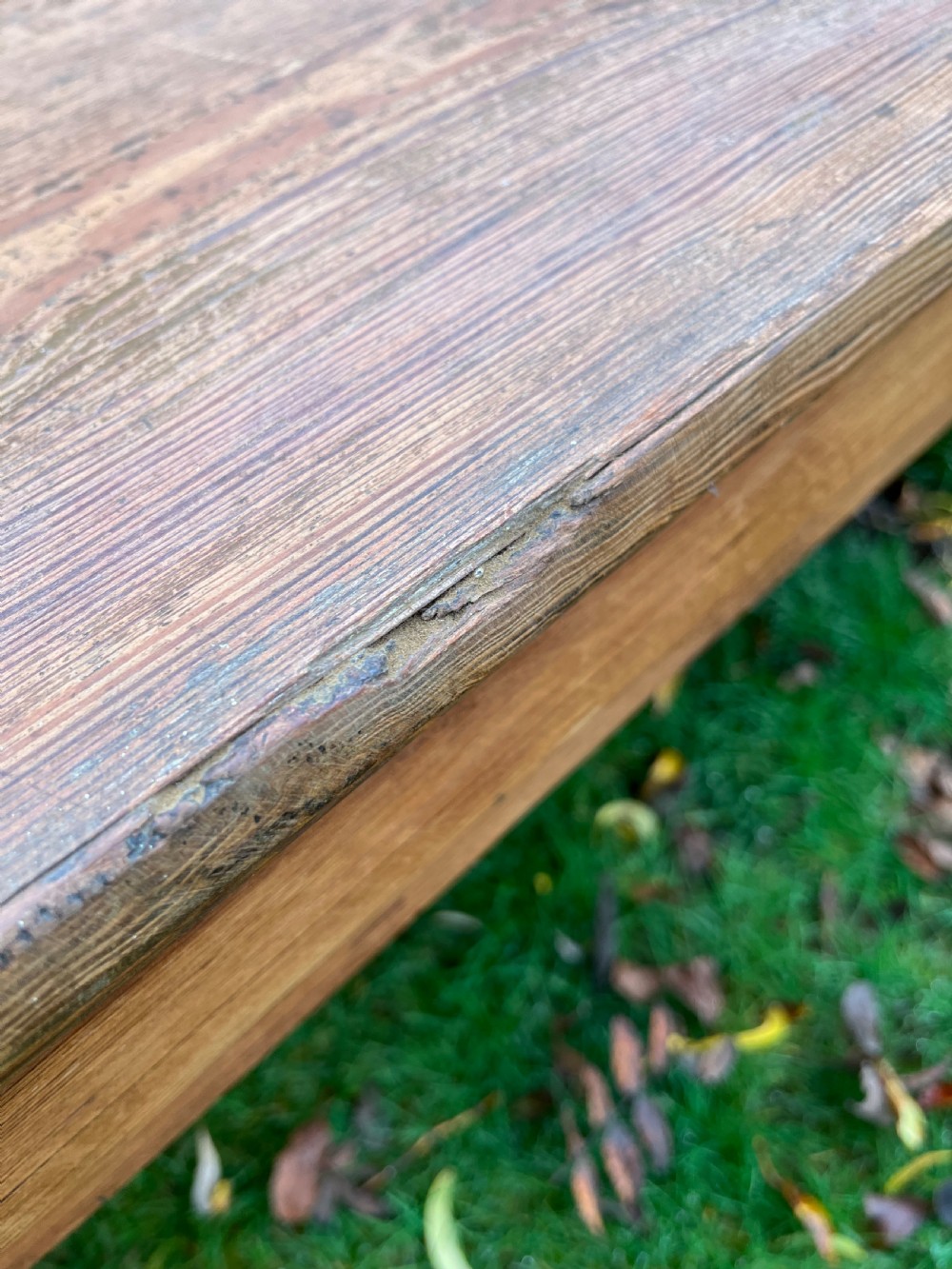 Pair Scottish hall benches  View XXIII